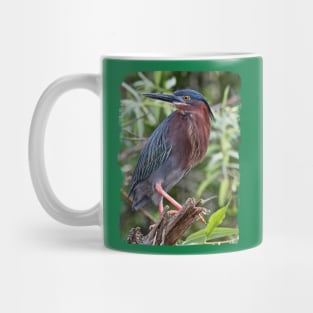 Green Heron Mug